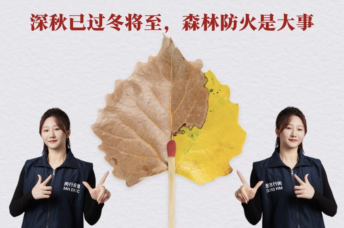 微信图片_20241122150035.jpg